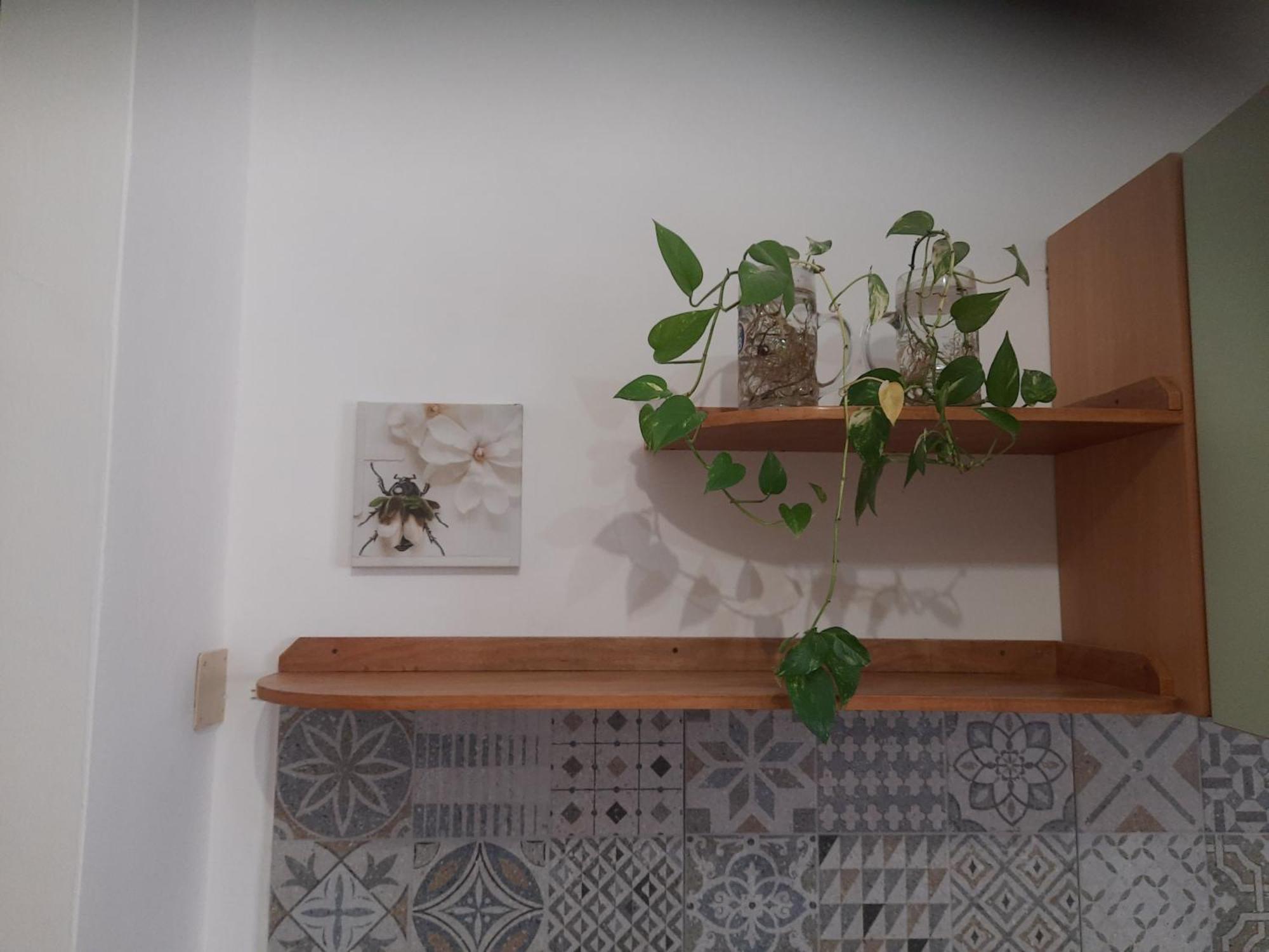 Le Calle A Vieste Sul Gargano المظهر الخارجي الصورة